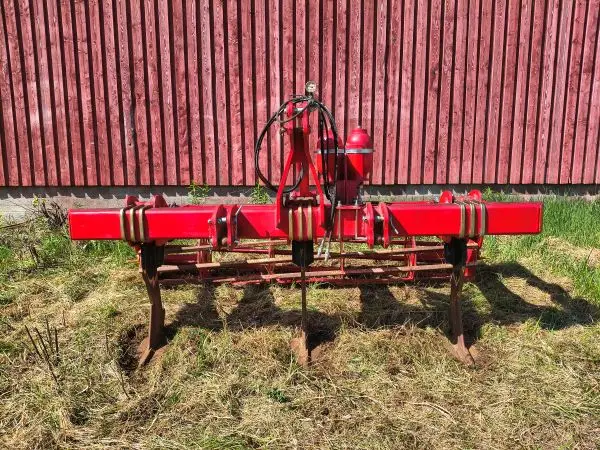 1000017177.webp